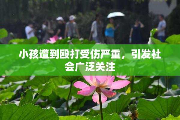 小孩遭到殴打受伤严重，引发社会广泛关注