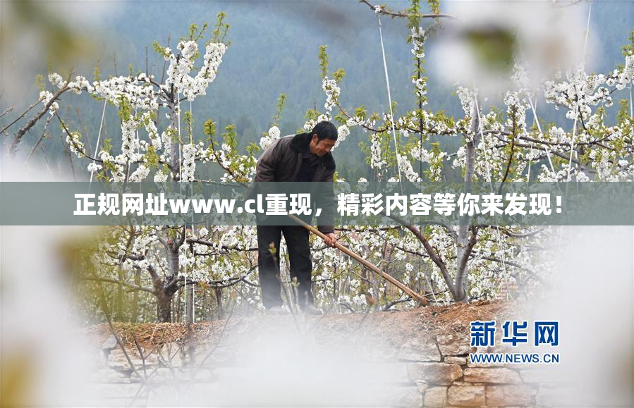 正规网址www.cl重现，精彩内容等你来发现！