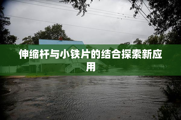 伸缩杆与小铁片的结合探索新应用