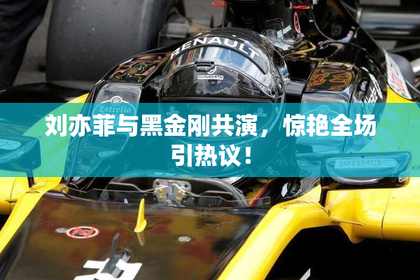 刘亦菲与黑金刚共演，惊艳全场引热议！
