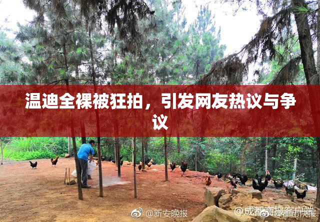 温迪全裸被狂拍，引发网友热议与争议