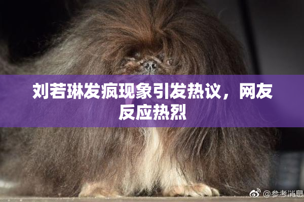 刘若琳发疯现象引发热议，网友反应热烈