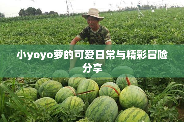 小yoyo萝的可爱日常与精彩冒险分享