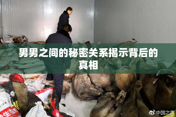 男男之间的秘密关系揭示背后的真相