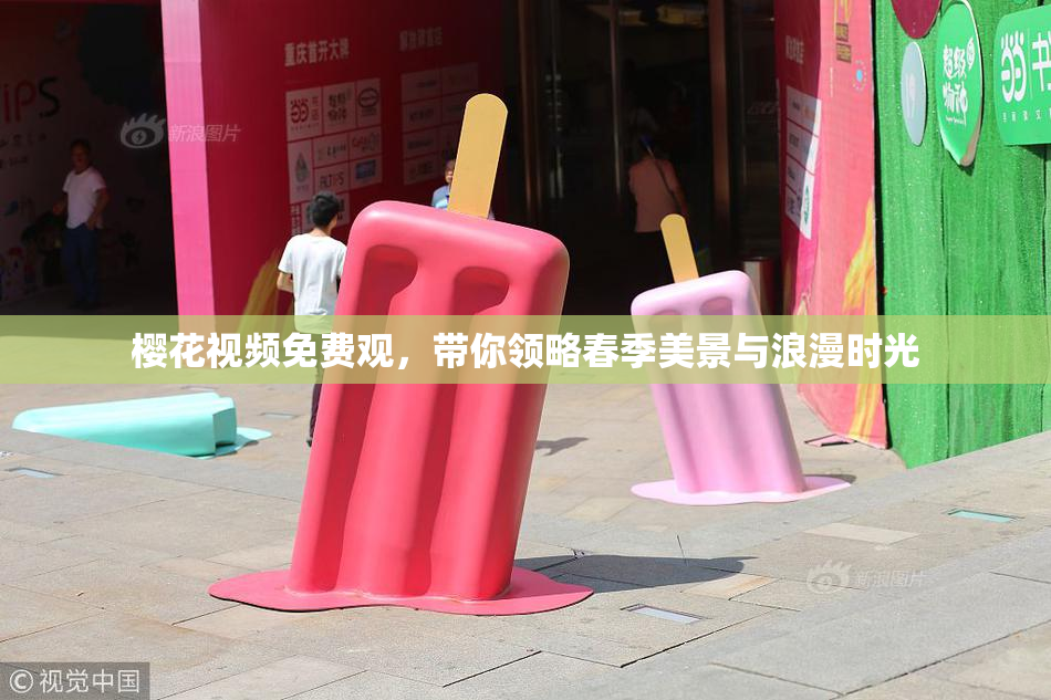 樱花视频免费观，带你领略春季美景与浪漫时光