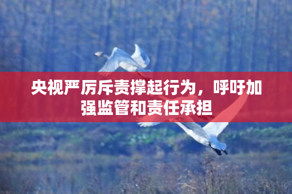 央视严厉斥责撑起行为，呼吁加强监管和责任承担
