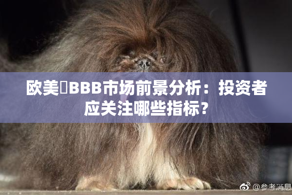 欧美槡BBB市场前景分析：投资者应关注哪些指标？