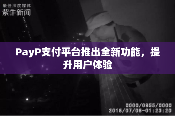 PayP支付平台推出全新功能，提升用户体验