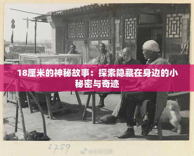 18厘米的神秘故事：探索隐藏在身边的小秘密与奇迹