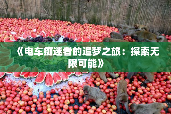 《电车痴迷者的追梦之旅：探索无限可能》