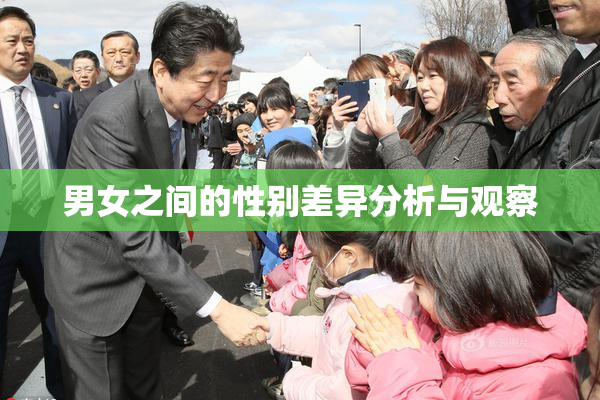男女之间的性别差异分析与观察