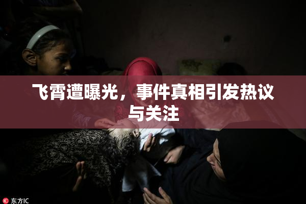 飞霄遭曝光，事件真相引发热议与关注