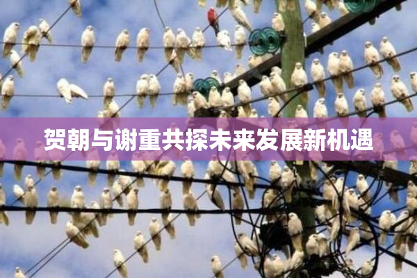 贺朝与谢重共探未来发展新机遇
