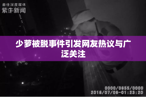 少萝被脱事件引发网友热议与广泛关注