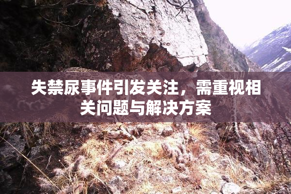 失禁尿事件引发关注，需重视相关问题与解决方案