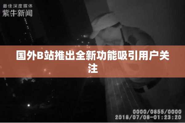 国外B站推出全新功能吸引用户关注