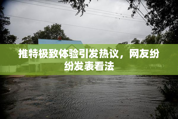 推特极致体验引发热议，网友纷纷发表看法