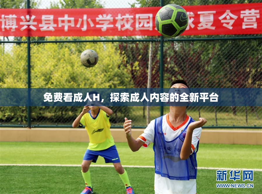 免费看成人H，探索成人内容的全新平台