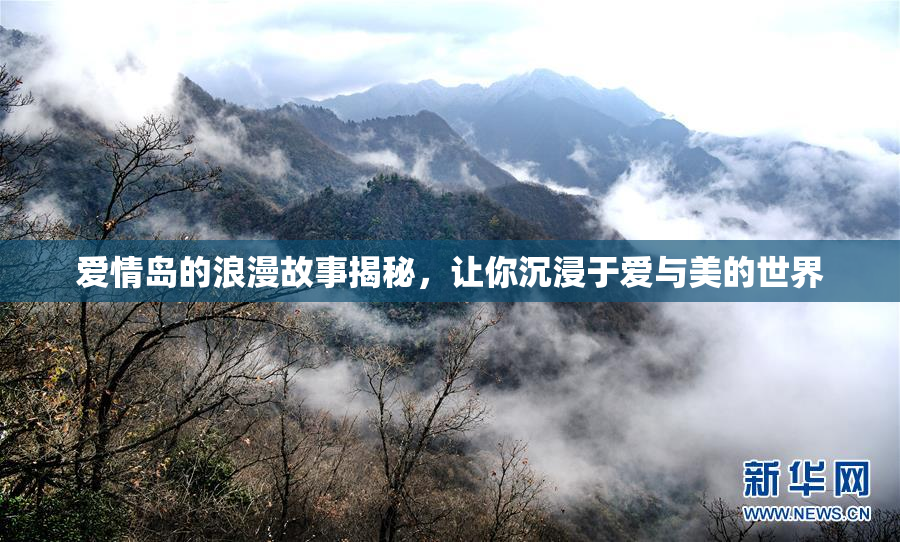 爱情岛的浪漫故事揭秘，让你沉浸于爱与美的世界