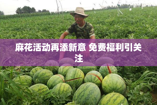 麻花活动再添新意 免费福利引关注