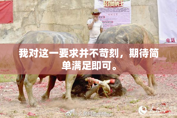 我对这一要求并不苛刻，期待简单满足即可。