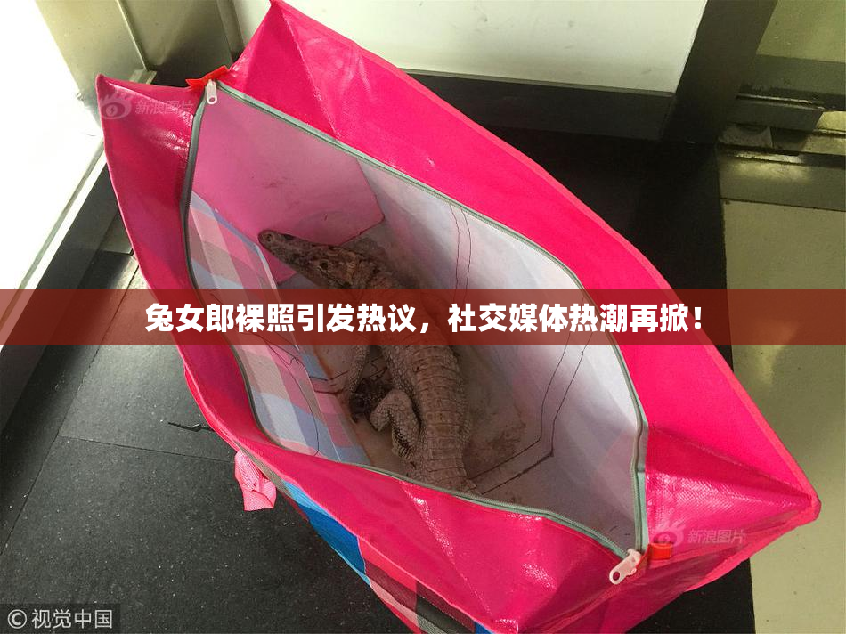 兔女郎裸照引发热议，社交媒体热潮再掀！