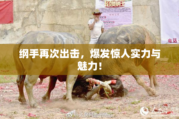 纲手再次出击，爆发惊人实力与魅力！