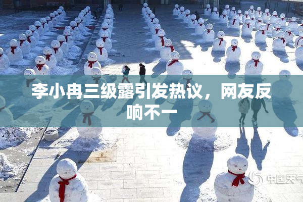 李小冉三级露引发热议，网友反响不一