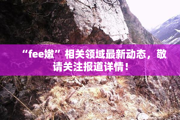 “fee嫩”相关领域最新动态，敬请关注报道详情！