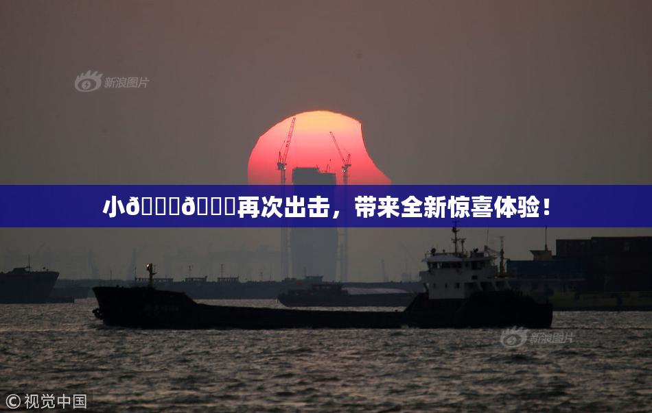 小🐔🐔再次出击，带来全新惊喜体验！