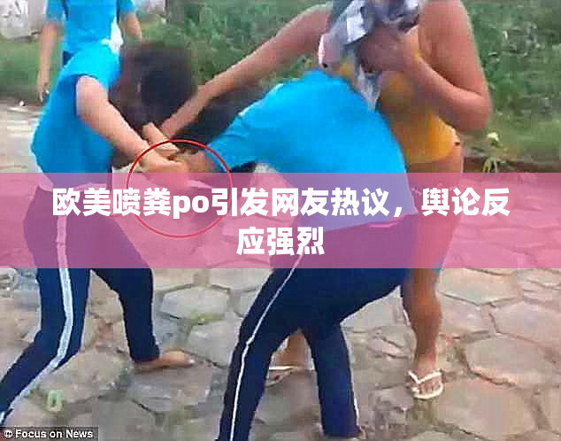 欧美喷粪po引发网友热议，舆论反应强烈