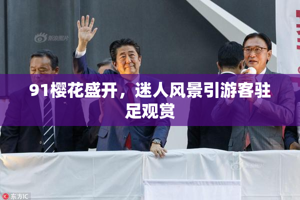91樱花盛开，迷人风景引游客驻足观赏