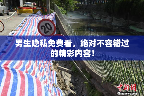 男生隐私免费看，绝对不容错过的精彩内容！