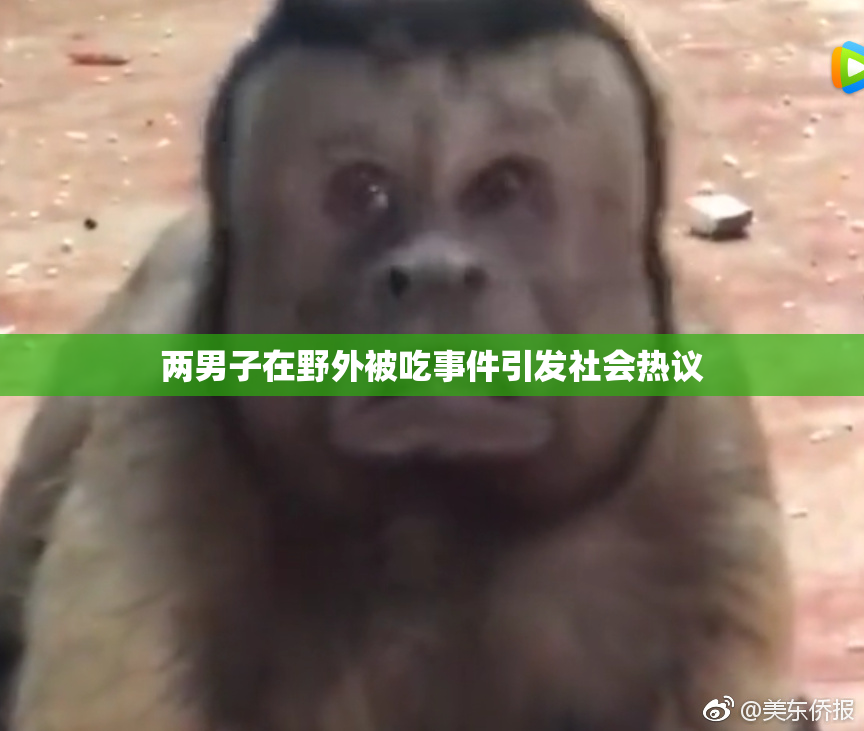 两男子在野外被吃事件引发社会热议