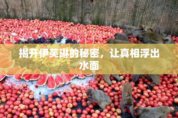 揭开伊芙琳的秘密，让真相浮出水面