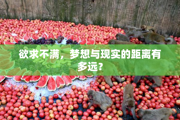 欲求不满，梦想与现实的距离有多远？