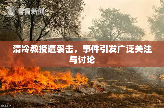 清冷教授遭袭击，事件引发广泛关注与讨论