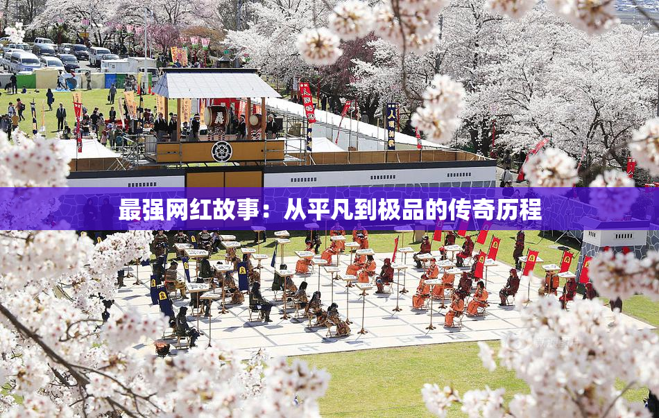 最强网红故事：从平凡到极品的传奇历程