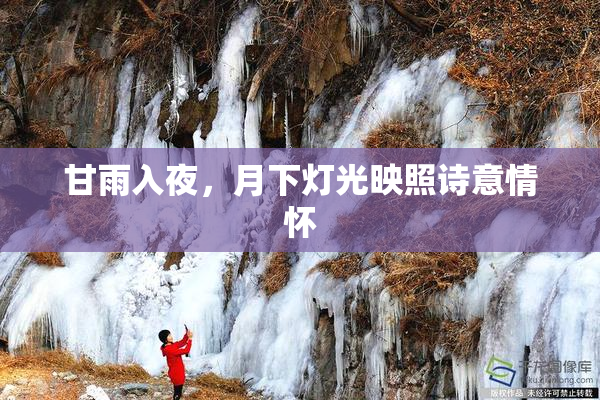 甘雨入夜，月下灯光映照诗意情怀