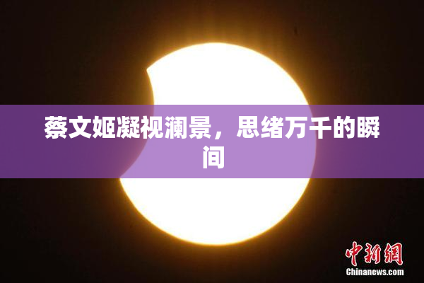 蔡文姬凝视澜景，思绪万千的瞬间