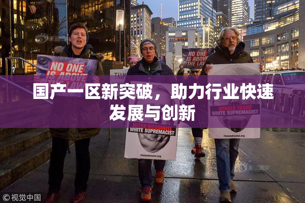 国产一区新突破，助力行业快速发展与创新