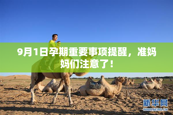 9月1日孕期重要事项提醒，准妈妈们注意了！