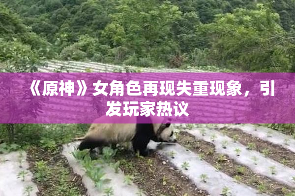《原神》女角色再现失重现象，引发玩家热议