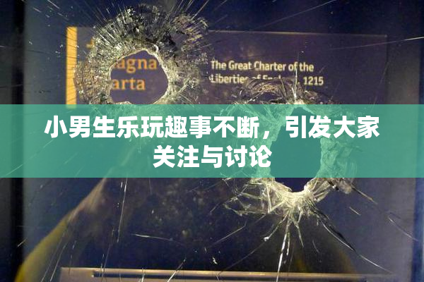 小男生乐玩趣事不断，引发大家关注与讨论