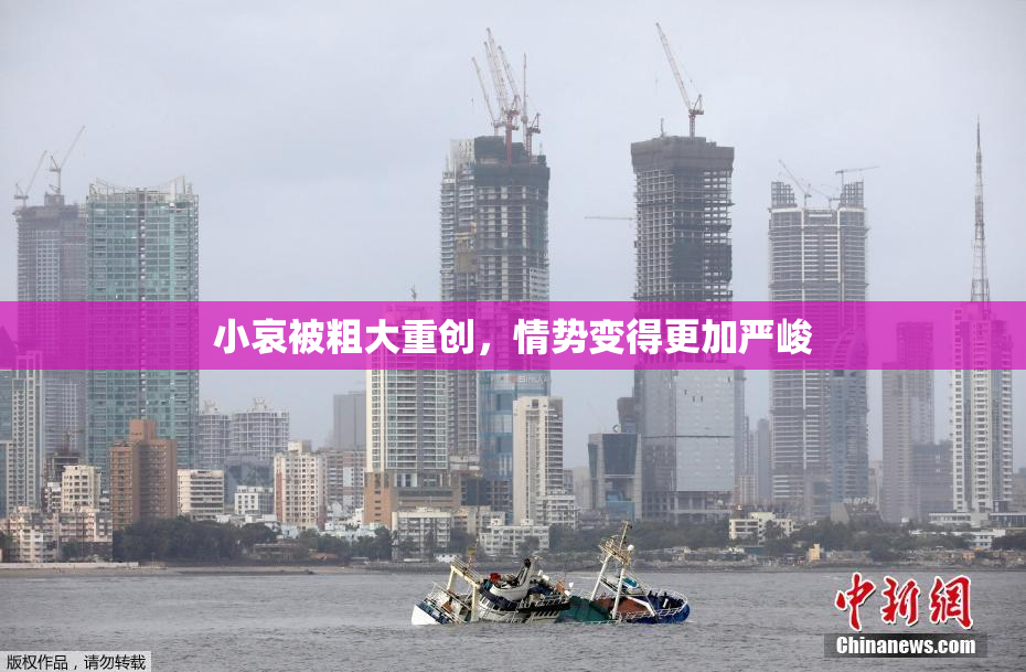 小哀被粗大重创，情势变得更加严峻