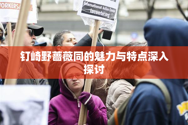 钉崎野蔷薇同的魅力与特点深入探讨