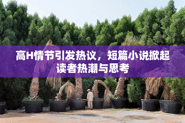 高H情节引发热议，短篇小说掀起读者热潮与思考