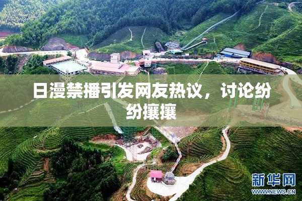 日漫禁播引发网友热议，讨论纷纷攘攘