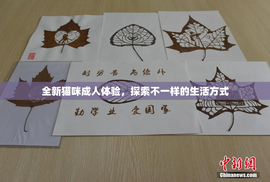 全新猫咪成人体验，探索不一样的生活方式