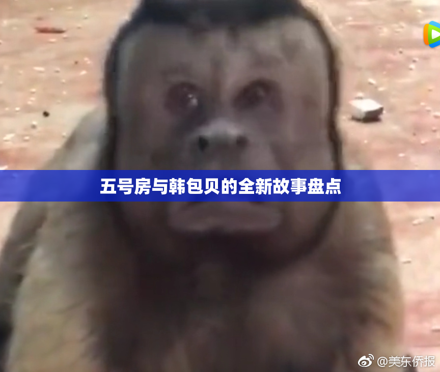 五号房与韩包贝的全新故事盘点